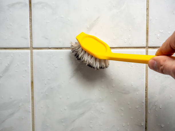 Best Mold Removal Company Near Me  in Jerome, IL