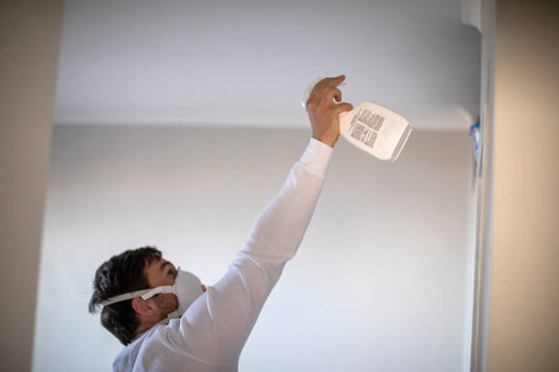 Home Mold Removal in Jerome, IL