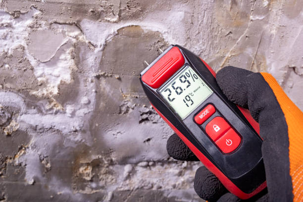 Best Same-Day Mold Removal  in Jerome, IL