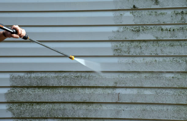 Best Residential Mold Removal  in Jerome, IL